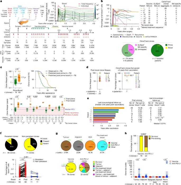 Why cancer vaccines often fizzle out ,  pancreatic cancers unique challenges.jpg