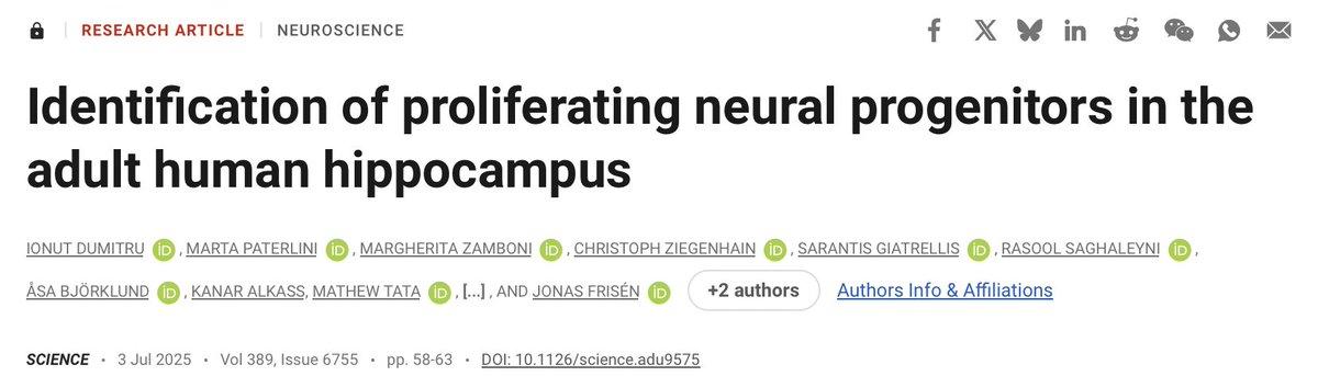 Your brain keeps making neurons even at 78.jpg